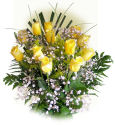 USA Arranged Roses USA,,:Single Color Rose Bouquet Dozen Long